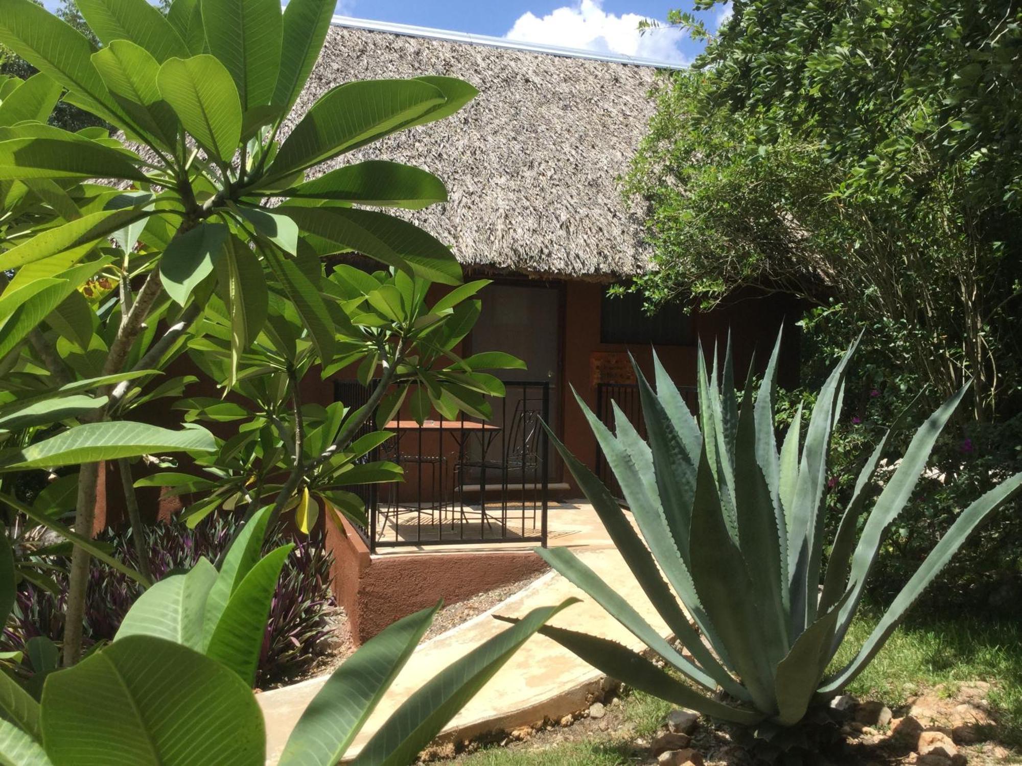 The Pickled Onion B&B And Restaurant Uxmal Santa Elena Quarto foto